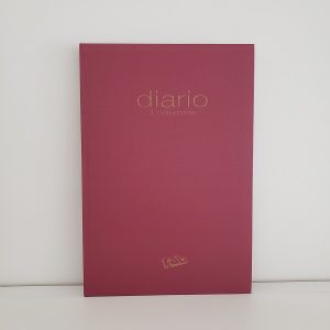 Libro Diario